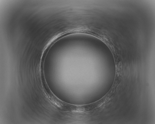 X0000081300196200701181844