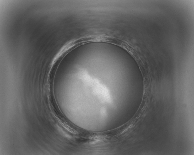 X0000081300198200701181844