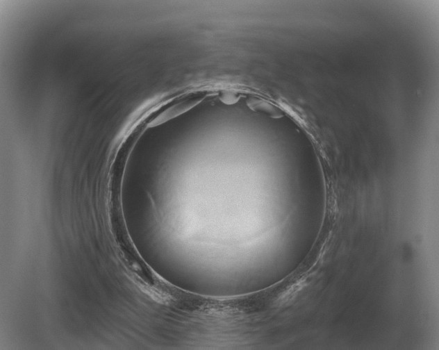 X0000081300199200701181844