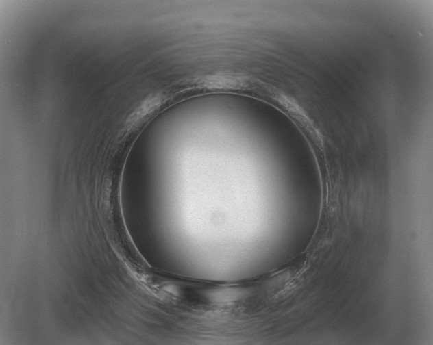 X0000081300201200701181844