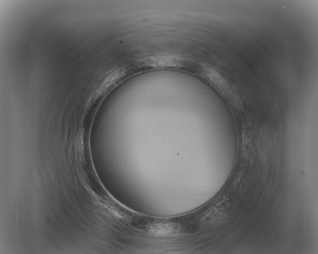 X0000081300202200701181844