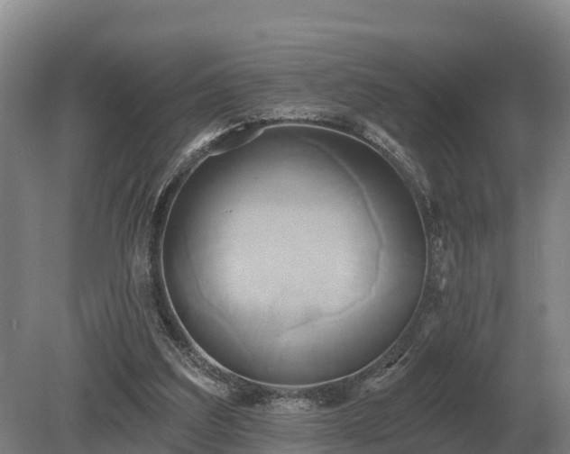 X0000081300203200701181844