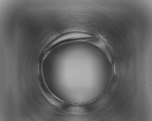 X0000081300205200701181844