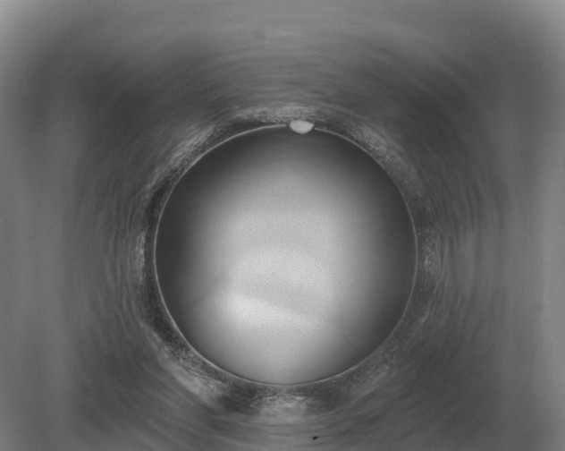 X0000081300206200701181844