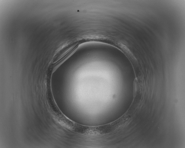 X0000081300207200701181844