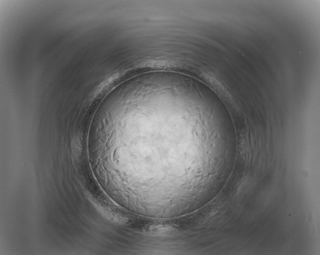 X0000081300208200701181844