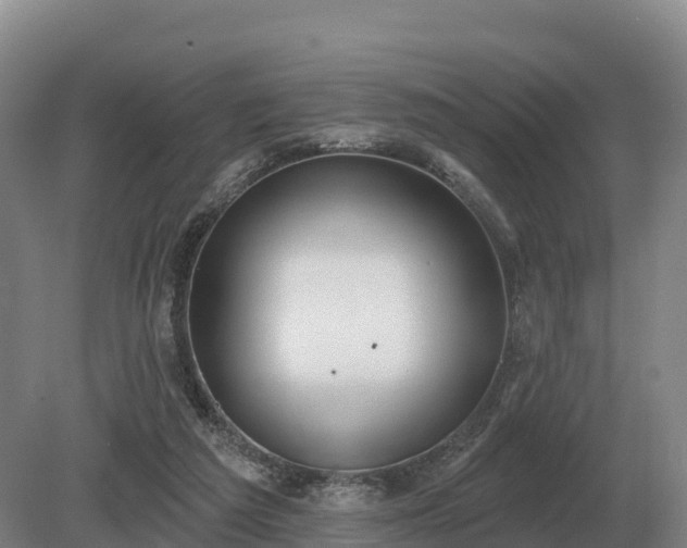 X0000081300209200701181844