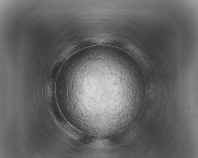 X0000081300210200701181844