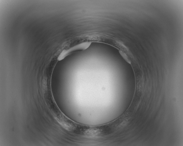 X0000081300213200701181844