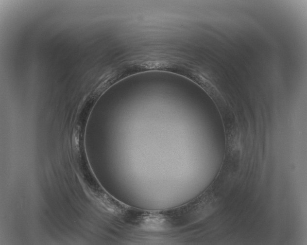 X0000081300214200701181844