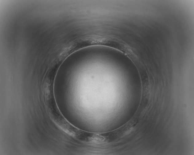 X0000081300215200701181844