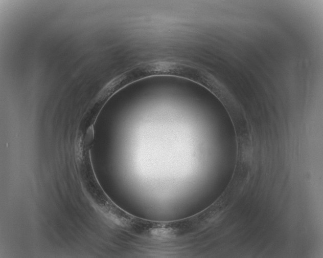 X0000081300216200701181844