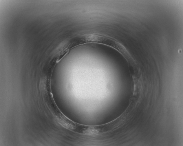 X0000081300217200701181844