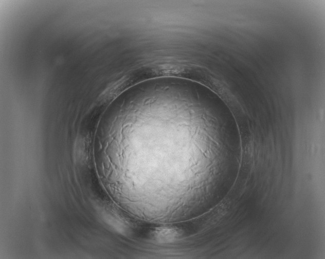 X0000081300218200701181844