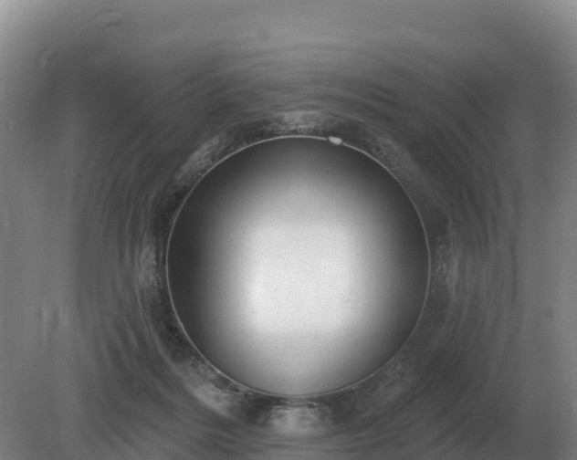 X0000081300220200701181844