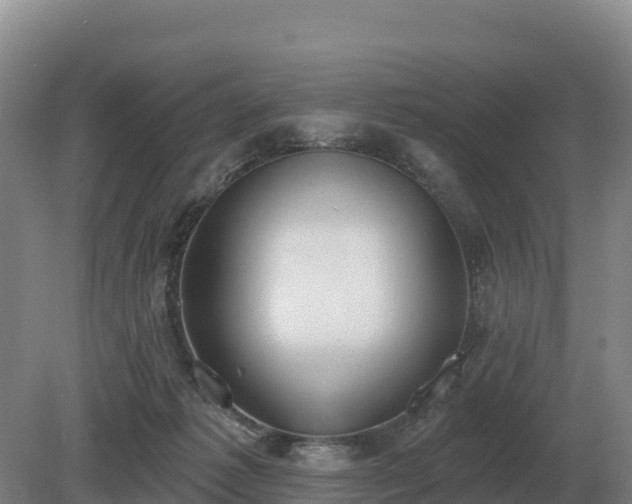 X0000081300221200701181844