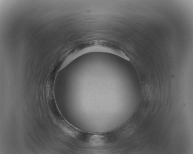 X0000081300222200701181844