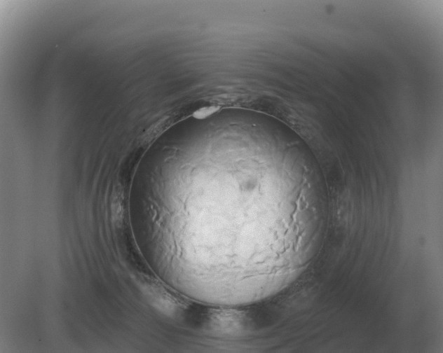 X0000081300226200701181843