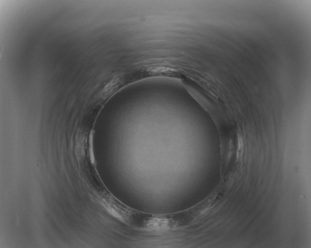 X0000081300227200701181843