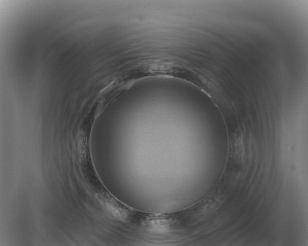 X0000081300228200701181843