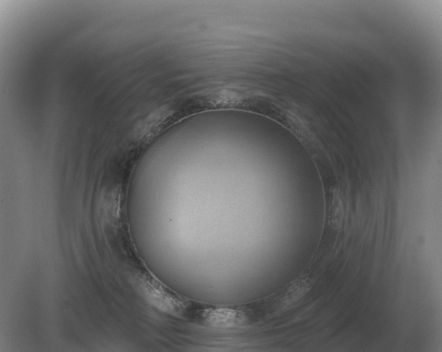 X0000081300230200701181843