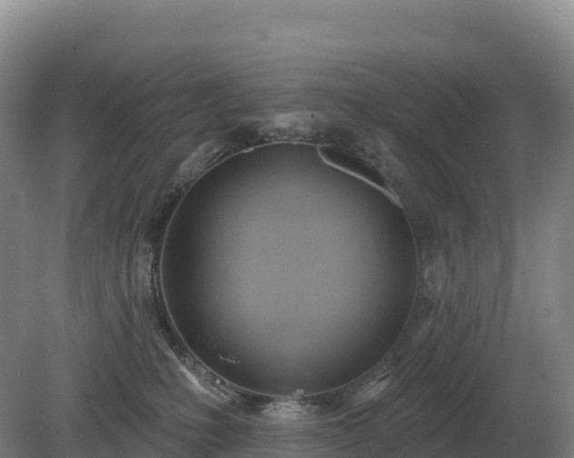 X0000081300231200701181843