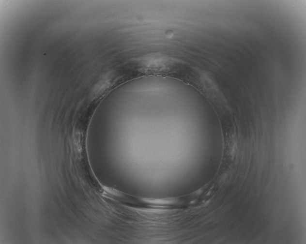 X0000081300232200701181843