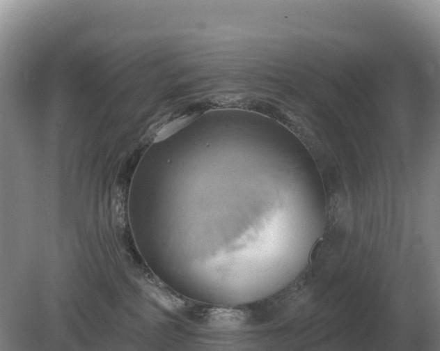 X0000081300234200701181843