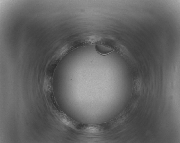 X0000081300236200701181843