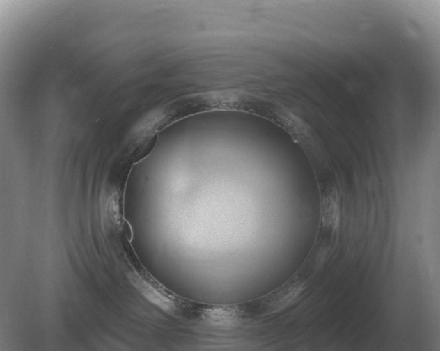 X0000081300238200701181843