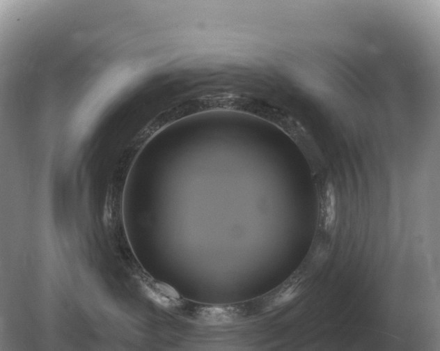 X0000081300239200701181843