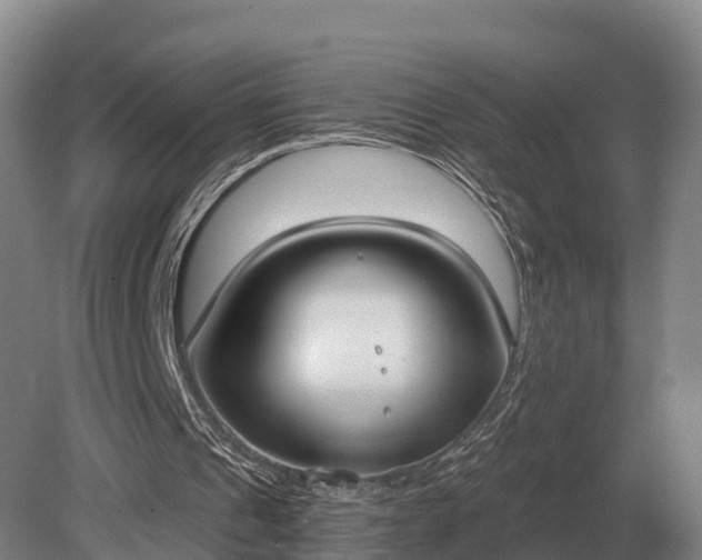 X0000081300241200701181842