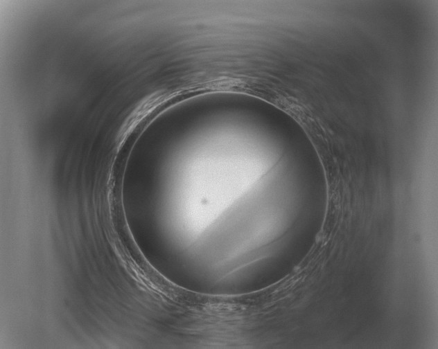 X0000081300242200701181842