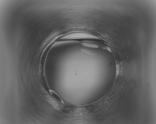 X0000081300243200701181842