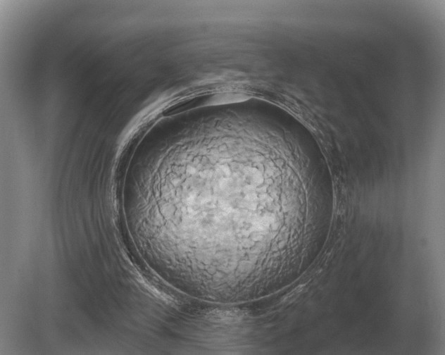 X0000081300245200701181842