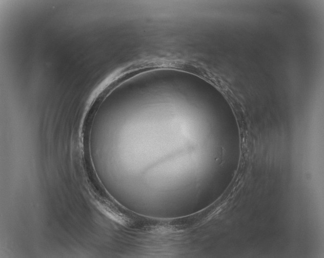 X0000081300246200701181842