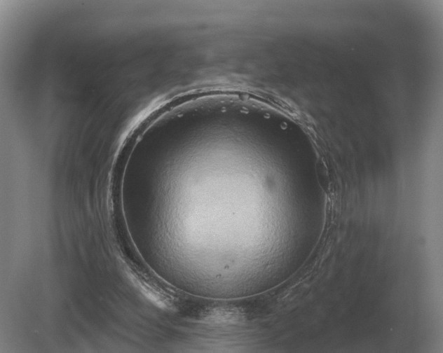 X0000081300248200701181843