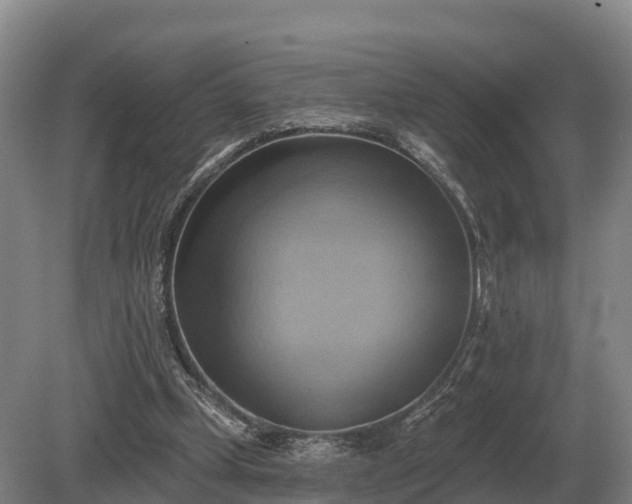 X0000081300249200701181843