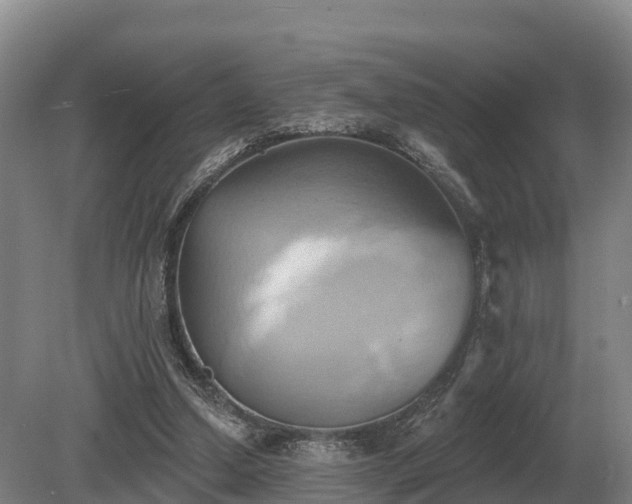 X0000081300250200701181843