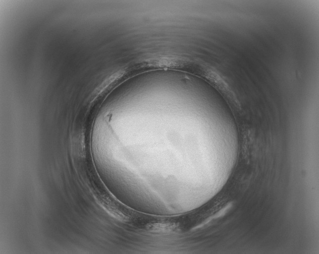 X0000081300251200701181843