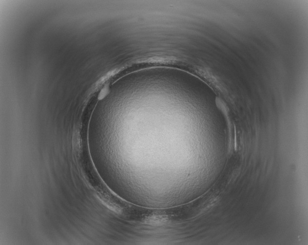 X0000081300252200701181843