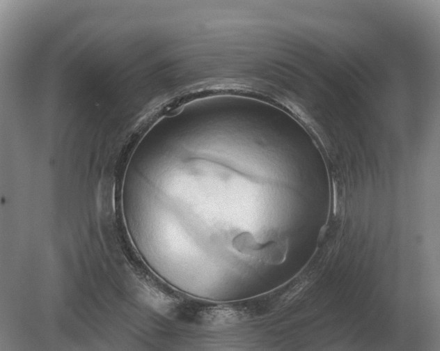 X0000081300253200701181843