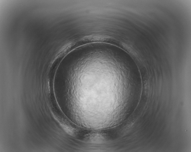 X0000081300254200701181843