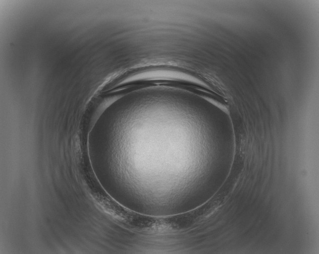 X0000081300256200701181843