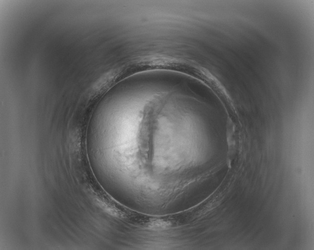 X0000081300257200701181843