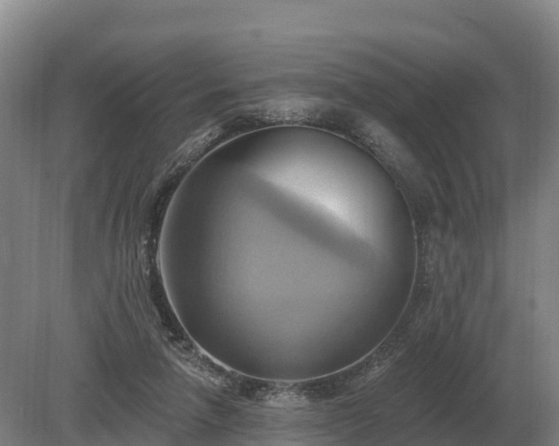 X0000081300258200701181843