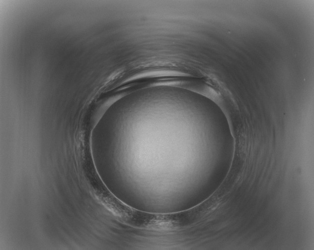 X0000081300260200701181843