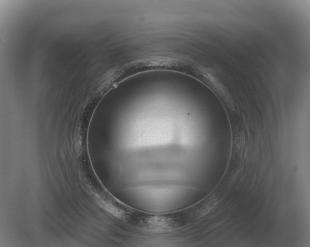 X0000081300261200701181843