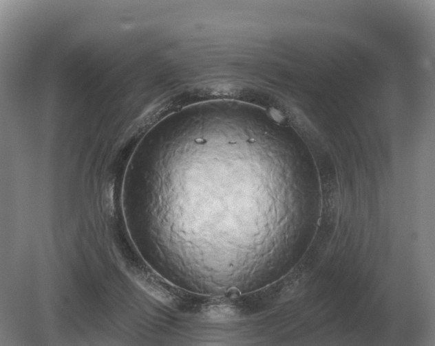 X0000081300262200701181843