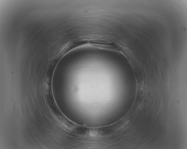 X0000081300264200701181843